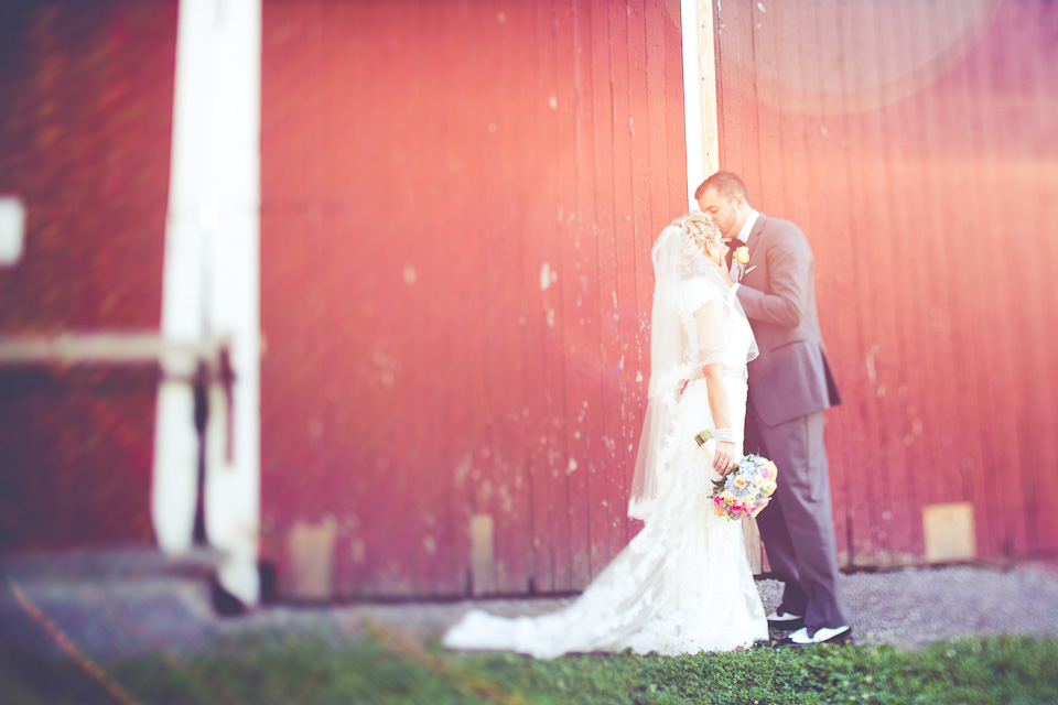 Megan Bernie Avanti Mansion Buffalo Ny Wedding Photography